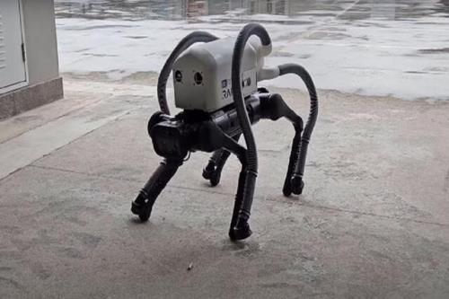 این سگ رباتیک ته سیگارها را از سواحل جمع می کند